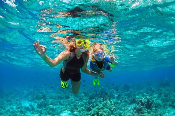 Initiation à la plongé sous-marine cet été