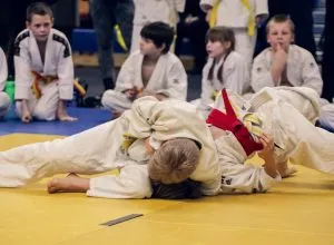 Achat de tatamis de judo : 6 décisions pour équiper durablement un dojo