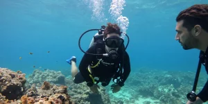 Plongée à Saint-Tropez : de la première immersion à l’autonomie, les étapes à connaître