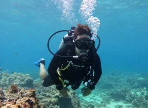 Plongée à Saint-Tropez : de la première immersion à l’autonomie, les étapes à connaître